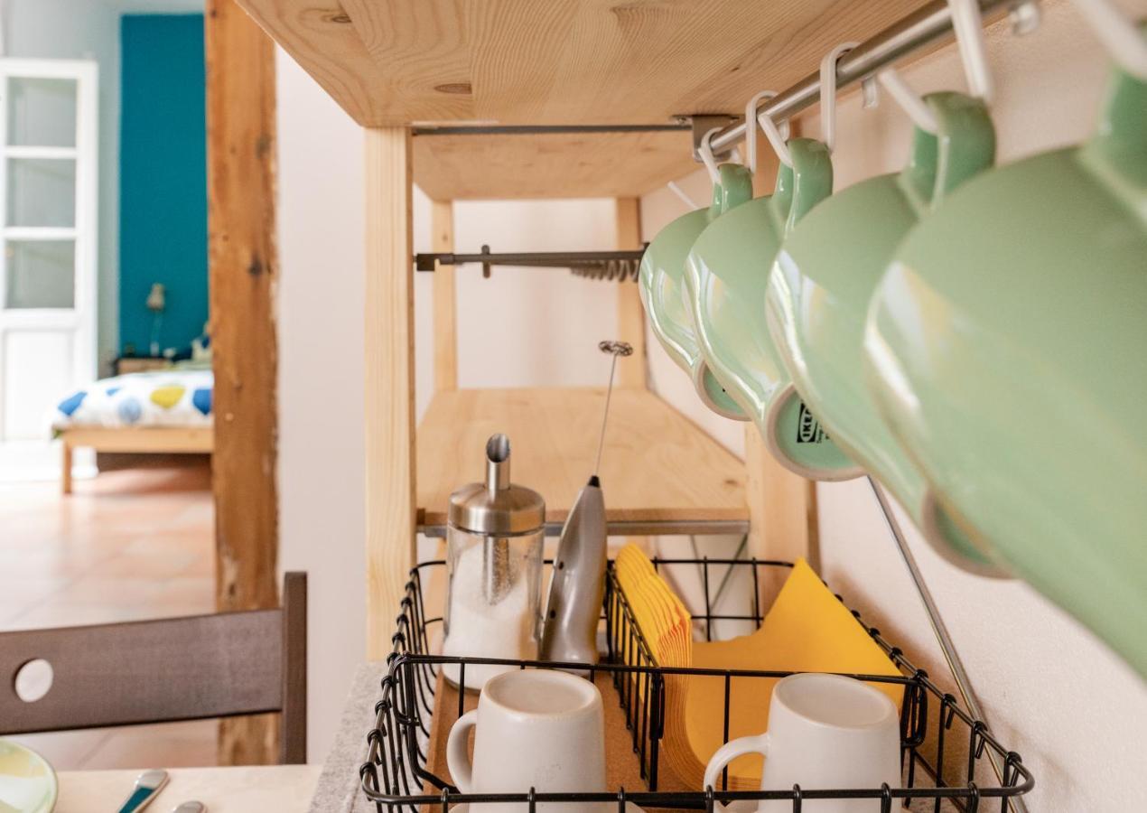 Marylou Gardenhouse Apartment Pisa Bagian luar foto