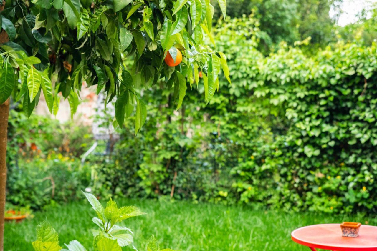 Marylou Gardenhouse Apartment Pisa Bagian luar foto