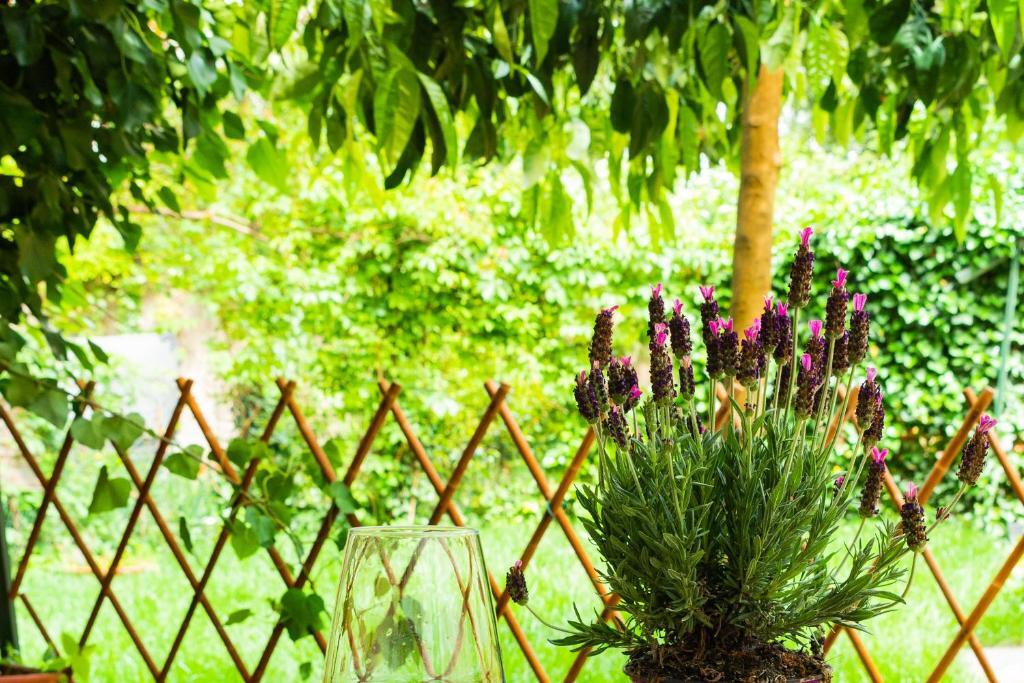 Marylou Gardenhouse Apartment Pisa Bagian luar foto