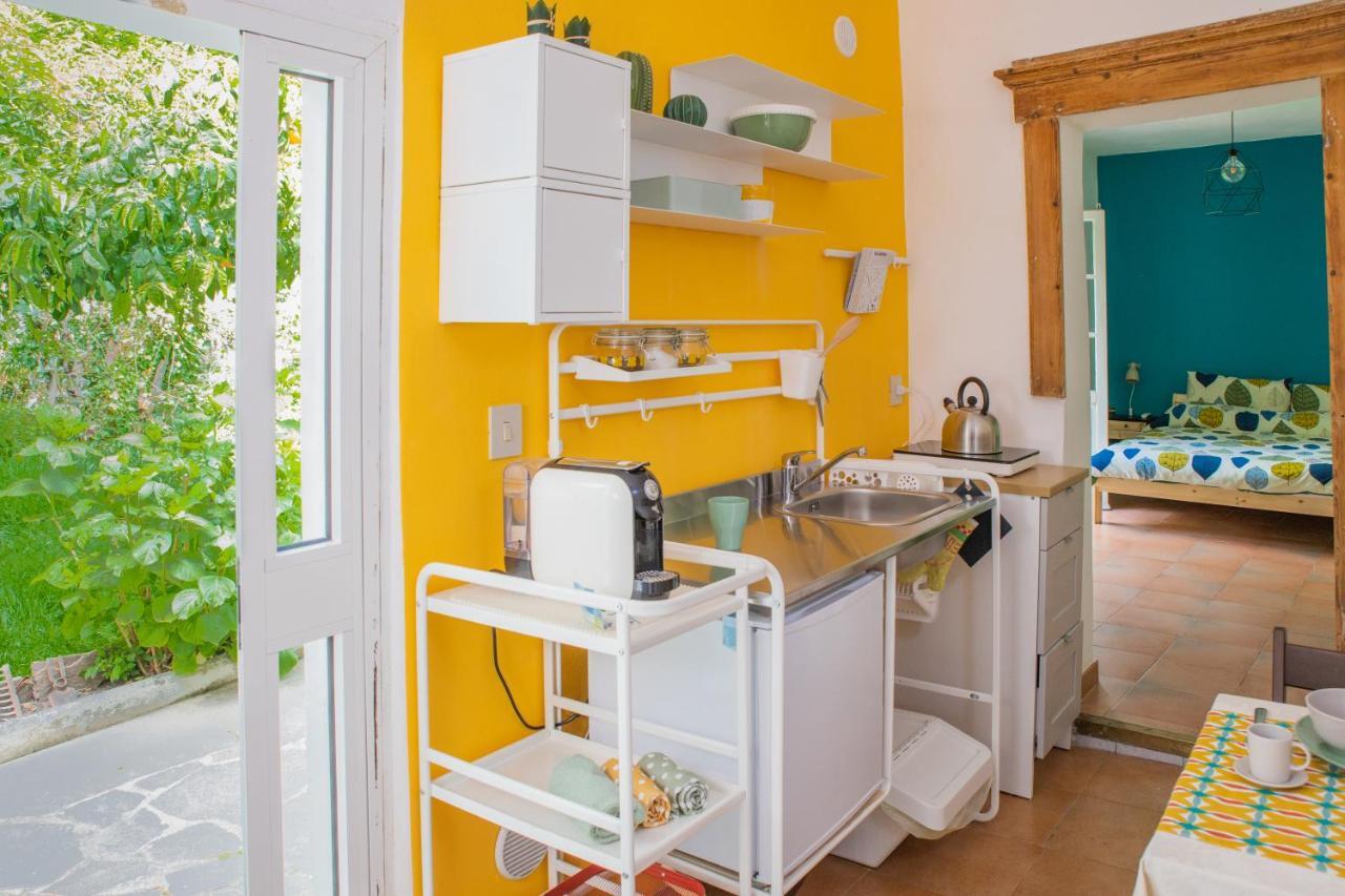 Marylou Gardenhouse Apartment Pisa Bagian luar foto